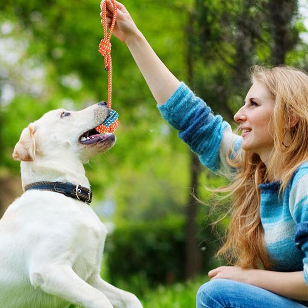 Dog Chew Rope Toys Set Bite Resistant Multi Type Cotton Rope Chew Toys Suitable for Aggressive Chewers