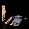 Joints Movable Male Femalew Body Dolls Action Figure 1/18 Scale Model Doll  Computer Ornament