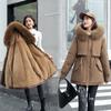 New Women's Winter Long Cotton-padded Jacket Net Red Pie To Overcome The Fleece-lined Inner Big Fur Collar Plus Size Waist Short Coat