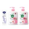 Dettol Moisturizing Antibacterial Hand Wash & Hand Cream Set