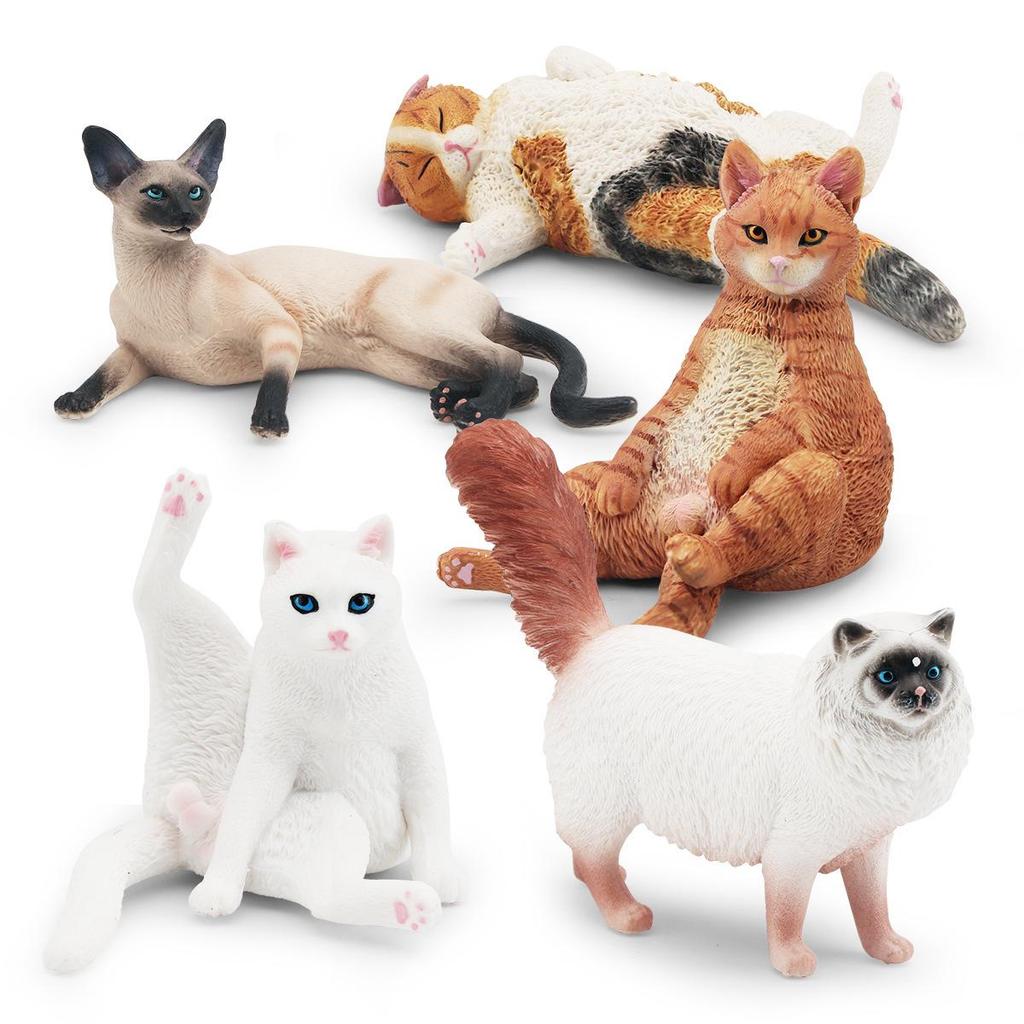 Children's Kitten Model Set: Ragdoll Cat, Lazy Orange Cat, Paw-Up Grey Cat, Sleeping Calico Cat, Lying Siamese Cat Figurines.