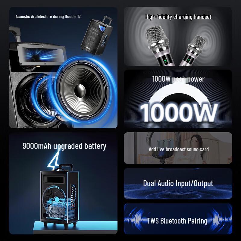 SAST SA-206 Karaoke Speaker System (CN version)