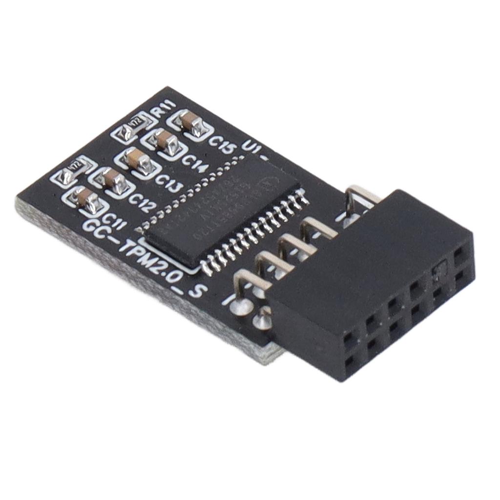 Модуль TPM 2.0 LPC SPI 12Pin Remote Card Encryption Security Board Аксессуар для GIGABYTE