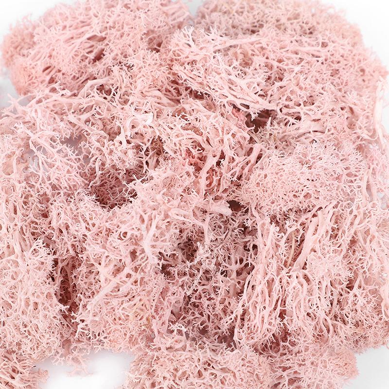 20/40/100g Artificial Green Plants Eternal Life Moss Grass DIY Crafts for Home Garden Room Decoration Mini Landscape Fake Flower