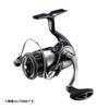 Daiwa Spinning Reel 24 Certate FC LT2000S-P (2024 Model)