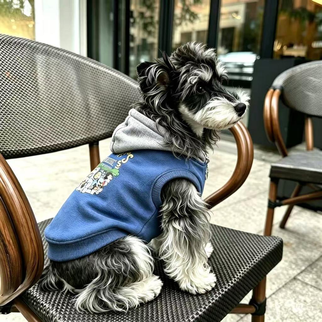 Fake Two Piece Pet Clothes Maltese Yorkshire Small Dog Fall/Winter Fashion Color Matching Hooded Printed Sweater