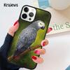 Мягкий чехол-накладка с изображением серого африканского попугая для iPhone 17 Air 16 15 14 plus 12 13 pro max coque Shell Fundas