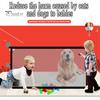 Gate Mesh Pet Dog Screen Gate Baby Puppy Indoor Safety Fence Guard With Hooks For House Stairs And Doorways