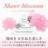 Ароматизатор-ополаскиватель Flare IROKA Sheer Blossom Scent сменные блоки [оптовая закупка] 710 мл2