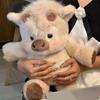 Креативный подарок Мягкая свинка Плюшевое животное Плюшевая подушка Эмоциональная поддержка Милая плюшевая игрушка 17,7 дюйма Плюшевые игрушки Плюшевая