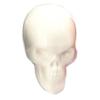 [R7756] - Beige 'Skull' Resin Figurine - 30x55x40 Mm