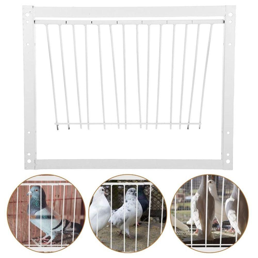Металлический каркас из проволочных прутьев Дверца голубятни 30/40 см Вход в клетку для птиц Ловушка для голубей Ворота для голубятни