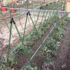 Опора для вьющихся огурцов: Опора для растений на открытом воздухе для роз и овощей