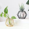 Nordic Golden Glass Vase Iron Line Vase Metal Home Decor Modern Plant Holder Terrarium Geometric Hydroponic Plant Flower