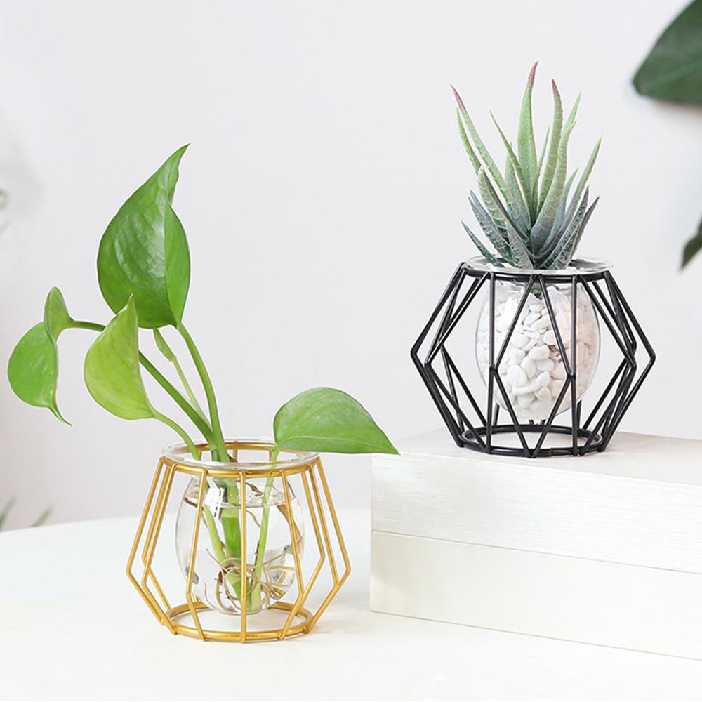 Nordic Golden Glass Vase Iron Line Vase Metal Home Decor Modern Plant Holder Terrarium Geometric Hydroponic Plant Flower