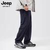 JEEP SPIRIT Мужские уличные ветрозащитные брюки прямого кроя