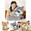 Wholesale Supplier Of Cute Raccoon Plush Toy For Girls Best Price