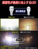 WENLE Скрытая Лампочка Заднего Фонаря T16 LED Белый Высокая Яркость