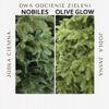 Artificial Christmas Tree 100% Pe Glow 2D Small Fir Tree Like A Natural Living One