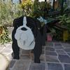 Independent Station Cross-border Garden Art Craft Ornaments: Dog & Cat Flower Pot and Planter