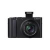 Panasonic ZS300 Digital Camera (CN version)