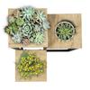 Metal standing flower stand for flowers and plants, 3-level shelf, loft 68