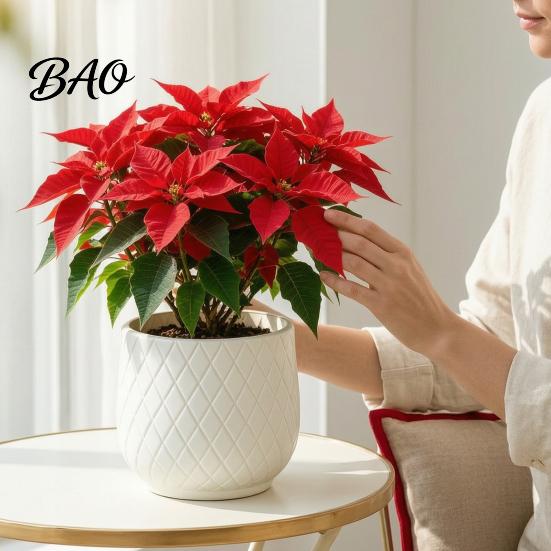 Durable PE Plant Holders for Home Decor Large Flower Pot with Rhombus Embossed Texture, Heavy Duty Planter Easy Clean Planters Porch Patio Indoor