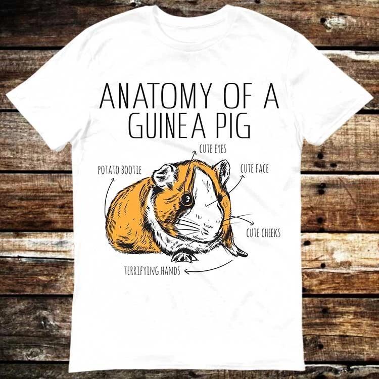 Anatomy Of Guinea Pig Pet Lover Funny Graphic Gaming T Shirt 6024