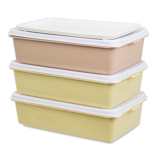 Sanko Plastic Bento Box/Picnic Case with 3 Side Plates, Earth Beige, 116789, Approx. 26.5cm W x 15.5cm D x 22cm H