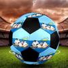 Moomin Theme Size 5 Soccer Ball, Suitable for Both Indoor and Outdoor Matches, a Gift Suitable for Everyone.