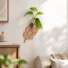 Vase Hydroponic Planter Shelf Home Ornaments Flower Pot Wall Decoration  Indoor Garden