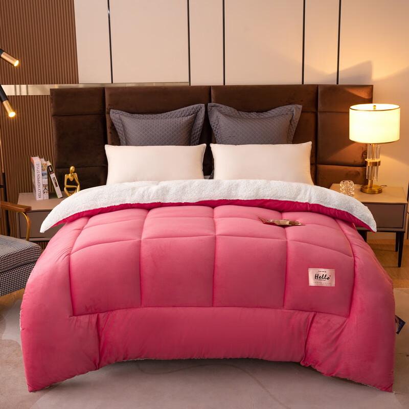 LISM Lamb Wool Double-Sided Thick Winter Duvet