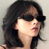 Cat-eye polarized sunglasses, retro fashion sunglasses