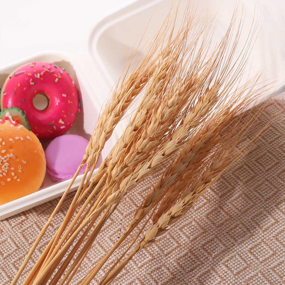 50pcs Natural Dry Wheat Spikes DIY Craft Dried Flowers Dried Wheat Stalks Christmas Decoration