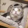Cat Nail Clipping Mask Clear Helmet Muzzle, Breathable Anti Bite Kitten Astronaut Helmet, Prevents Biting Chewing, Grooming for Aggressive Cats Muzzle