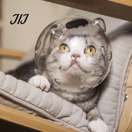 Cat Nail Clipping Mask Clear Helmet Muzzle, Breathable Anti Bite Kitten Astronaut Helmet, Prevents Biting Chewing, Grooming for Aggressive Cats Muzzle