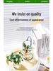 Indoor Desktop Murraya: Easy-Care Blooming Green Hydroponic Plants for Office & Living Room