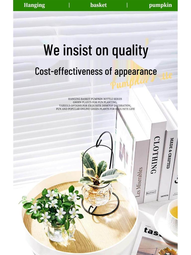Indoor Desktop Murraya: Easy-Care Blooming Green Hydroponic Plants for Office & Living Room