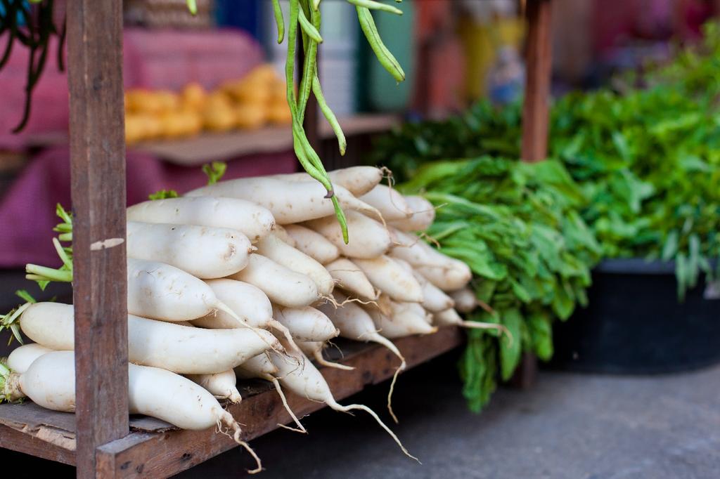 SAFLAX Garden in the Bag - Органический - Редис - Mooli Minowase - 100 семян - С субстратом в подходящем мешке - Raphanus sativus