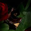 Vertus Rose Privé Eau de Parfum 100ml