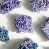 Smooth Polished Rocks Natural Grape Agate Crystal Cluster, Mineral Gemstone, Stone Tranquility Stones for Aquarium Terrarium Decor, Unique Gift