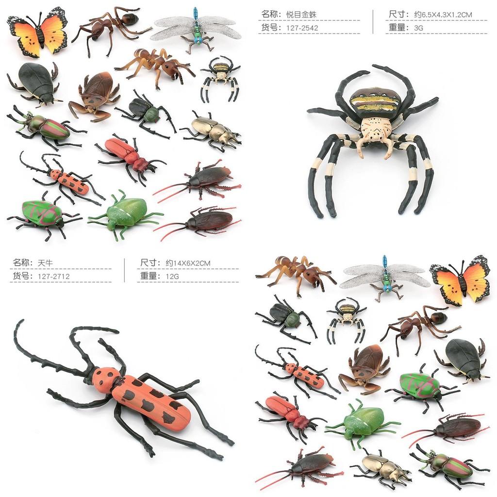 Vibrant Realistic Insect Models Collection With Butterflies Beetles Ants Spiders And Roaches Crafted From High Quality Pvc