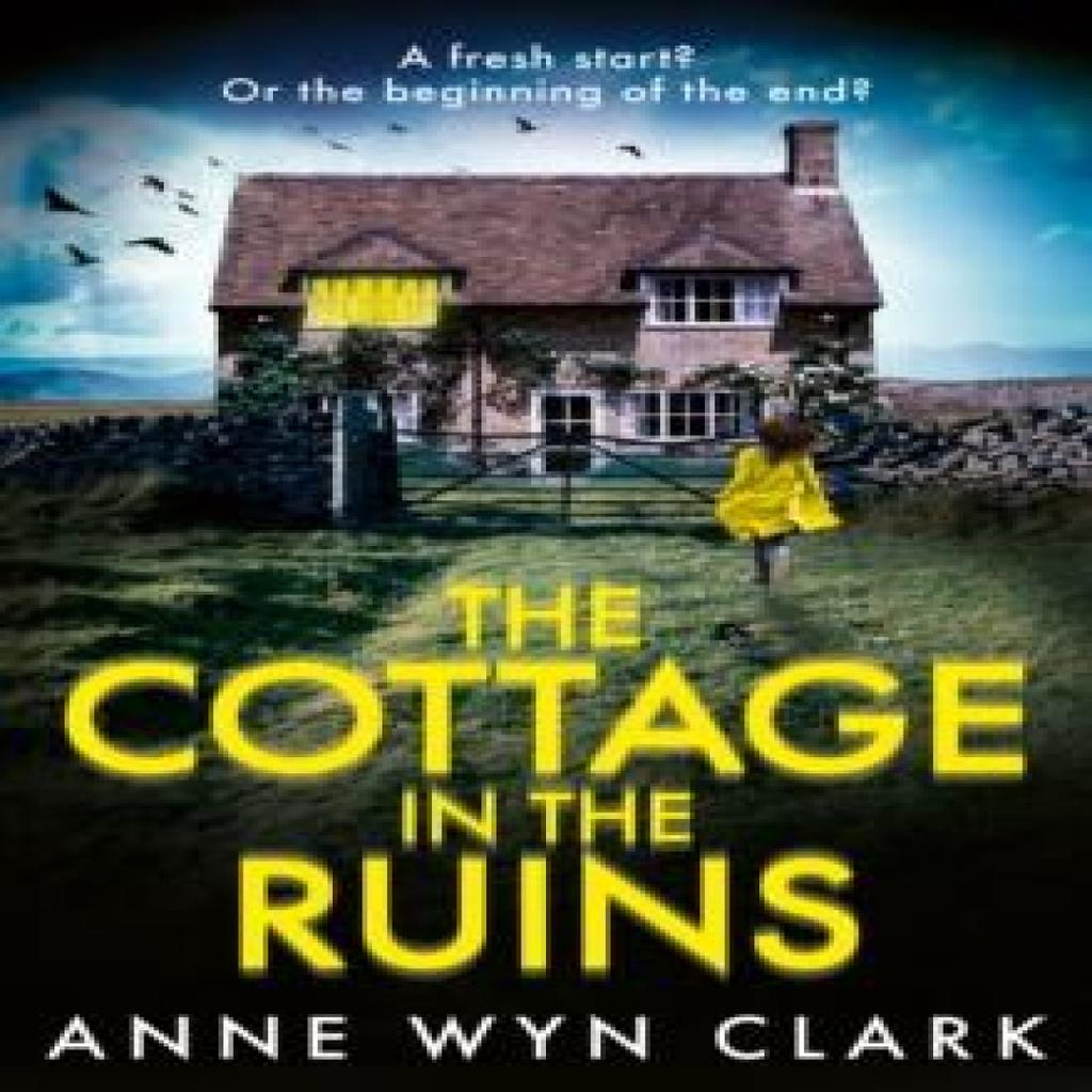 The Cottage in the Ruins by Anne Wyn Clark Paperback Book 9780008763435