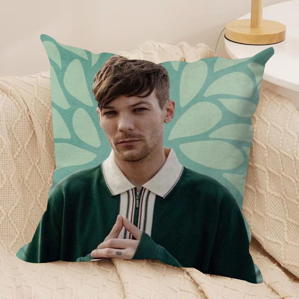 Louis Singer Tomlinsons Cushion Cover Silky Short Plush DoubleSided Printed Pillow Case for Sofa All Seasons Home Decor Gift