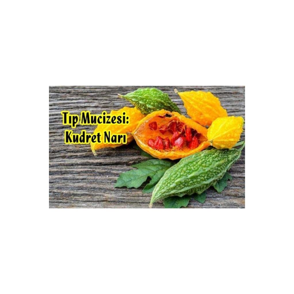 Kudret Pomegranate 300 Gr With Olive Oil