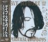 CD DAVE STEWART, SPIRITUAL KA, DAVE ST - Dave Stewart & The Spiritual Cowboy BVCP13 RCA 1990 Япония Танцевальная и Электронная Музыка Б/У