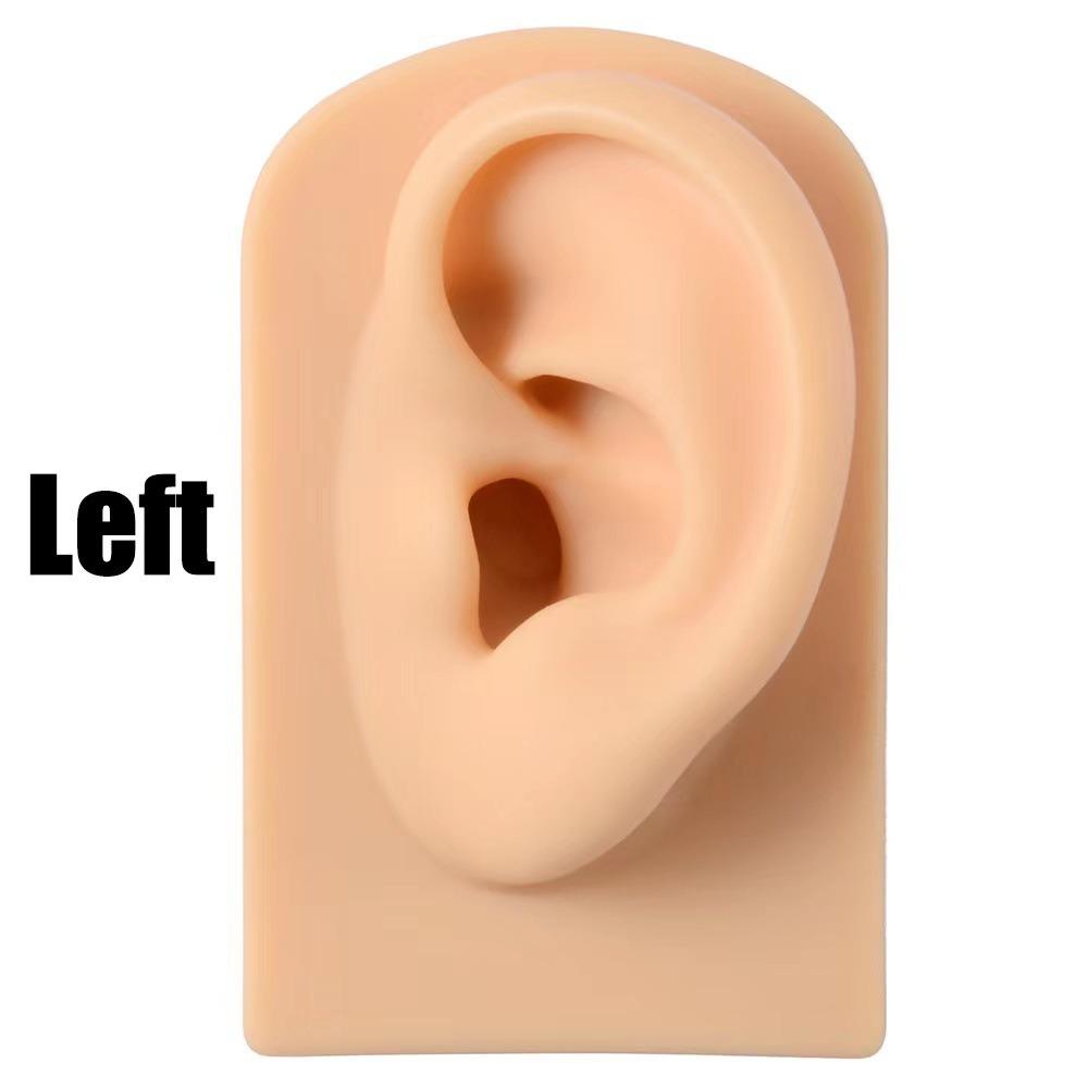 Lightweight Human Ear Model Rack Soft Earrings Display Stand Silicone Ear Model  Girls Women