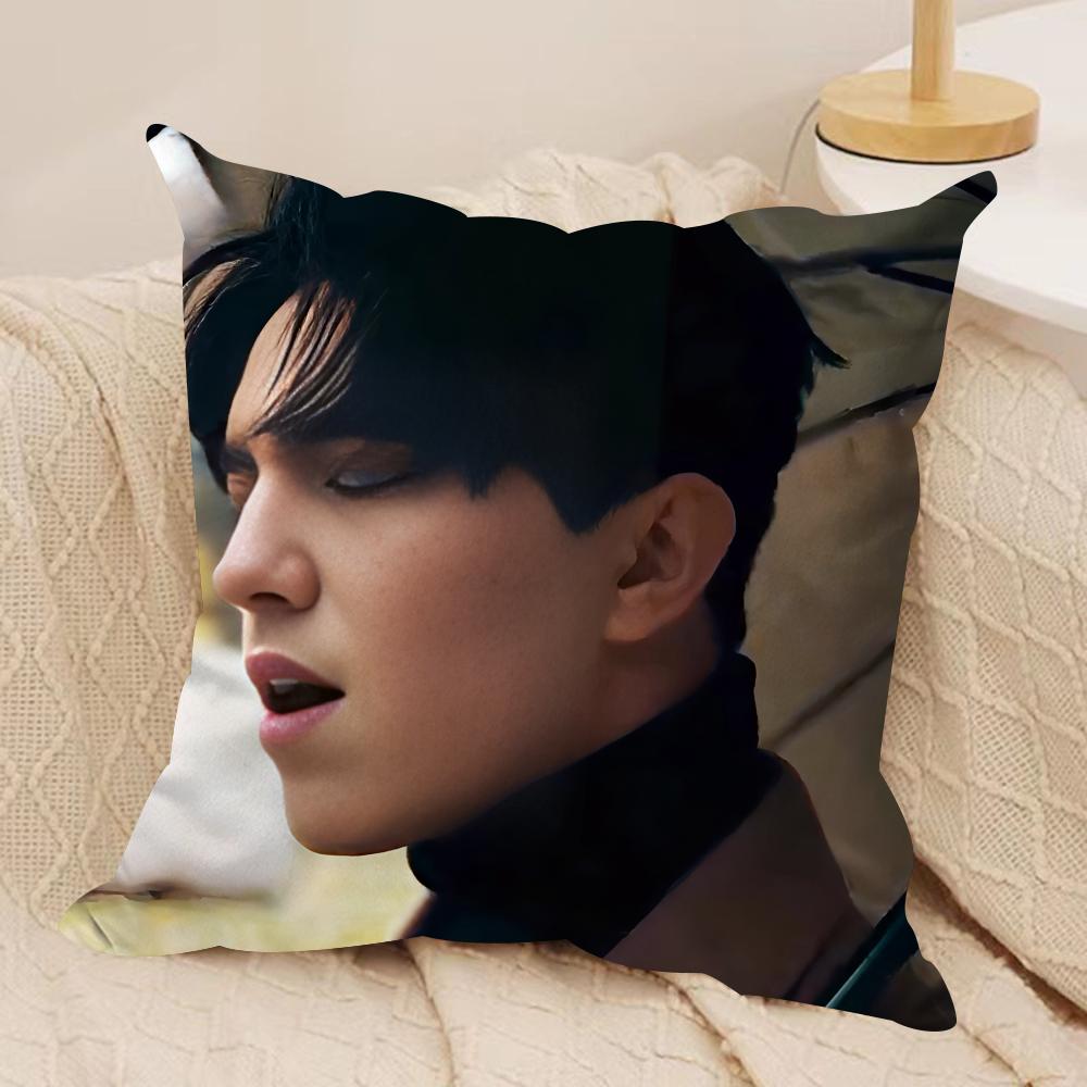 Новое поступление Чехол на подушку D-Dimash Шелковистый короткий плюш Невидимая молния Пылезащитный чехол для диванной подушки Для домашнего декора