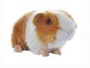 Pbwa Smile Guinea Pig Plush Small Animal – Brown