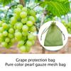 100Pcs Mesh Garden Bag Net,Vegetable Grapes Fruit Protection Grow Bag,Drawstring Net Mesh Against Insect
